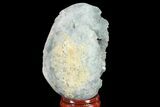 Crystal Filled, Celestine (Celestite) Egg - Madagascar #134629-1